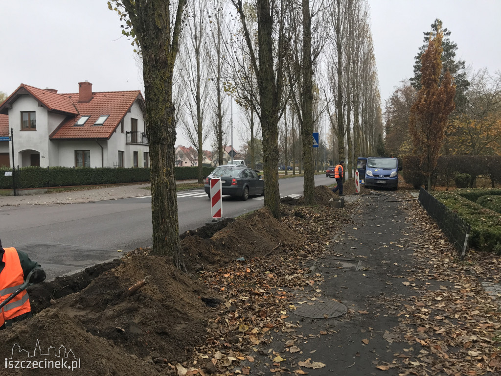 Będzie bezpieczniej na przejściu dla pieszych na Mickiewicza