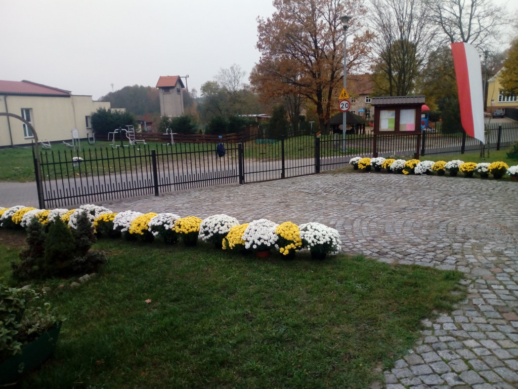 Akcja chryzantemy w gminie Borne Sulinowo. Zobaczcie pomysły mieszkańców