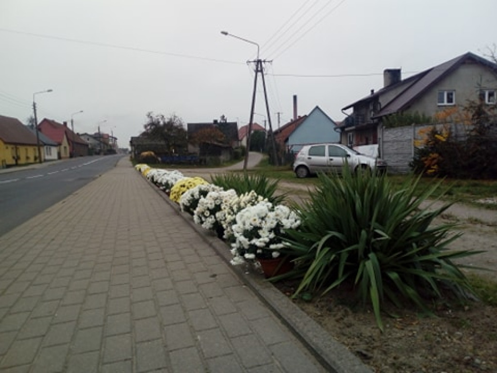 Akcja chryzantemy w gminie Borne Sulinowo. Zobaczcie pomysły mieszkańców