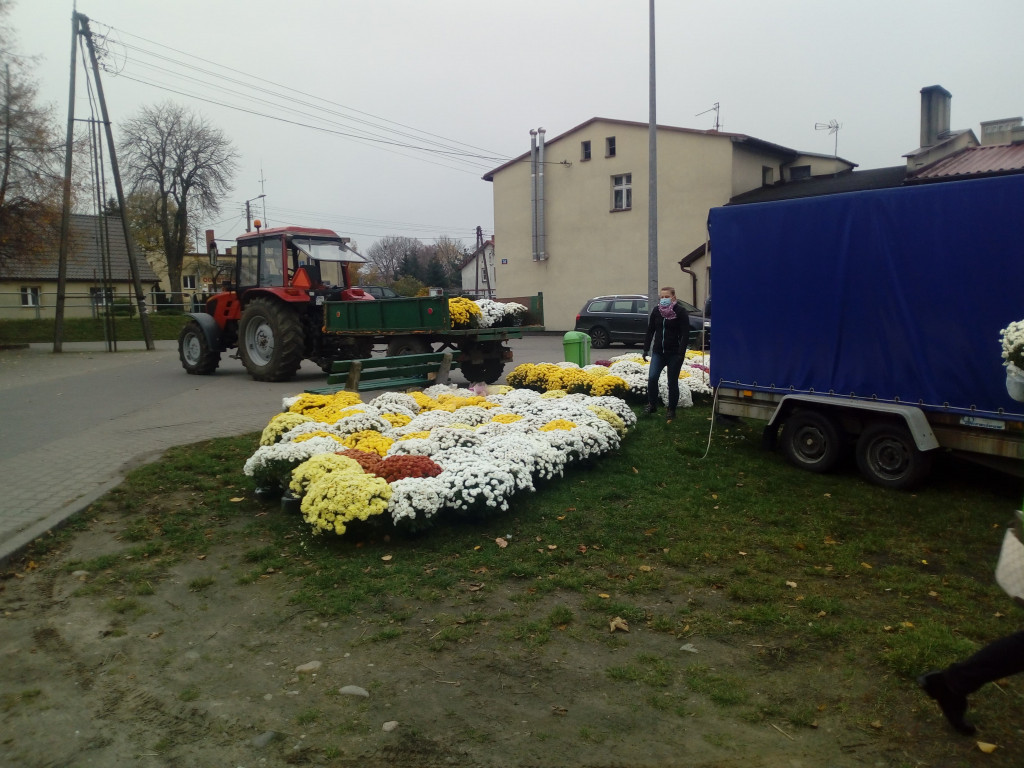 Akcja chryzantemy w gminie Borne Sulinowo. Zobaczcie pomysły mieszkańców