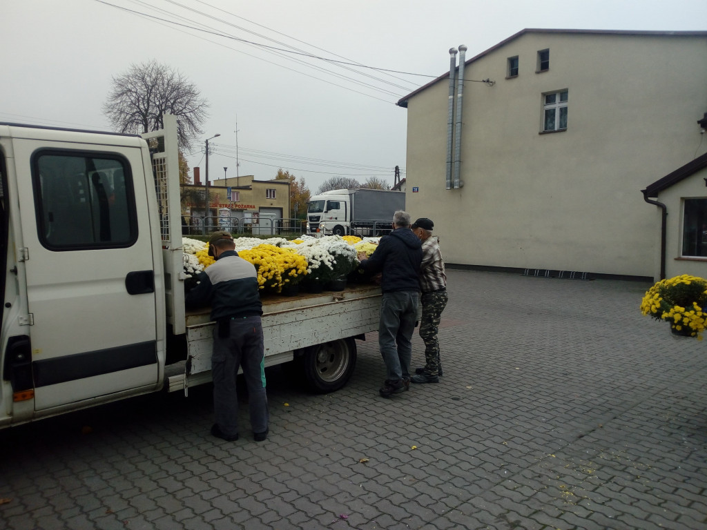 Akcja chryzantemy w gminie Borne Sulinowo. Zobaczcie pomysły mieszkańców