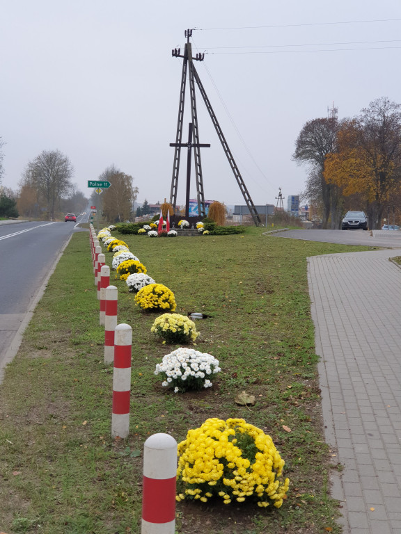 Akcja chryzantemy w gminie Borne Sulinowo. Zobaczcie pomysły mieszkańców