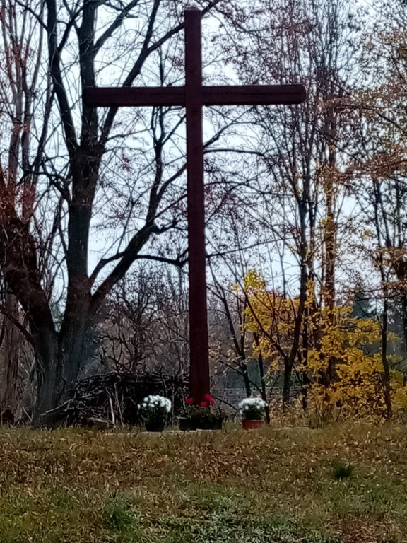 Akcja chryzantemy w gminie Borne Sulinowo. Zobaczcie pomysły mieszkańców