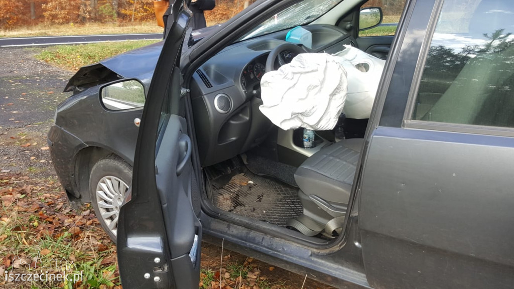 Zderzenie samochodu osobowego z jeleniem na DK-11