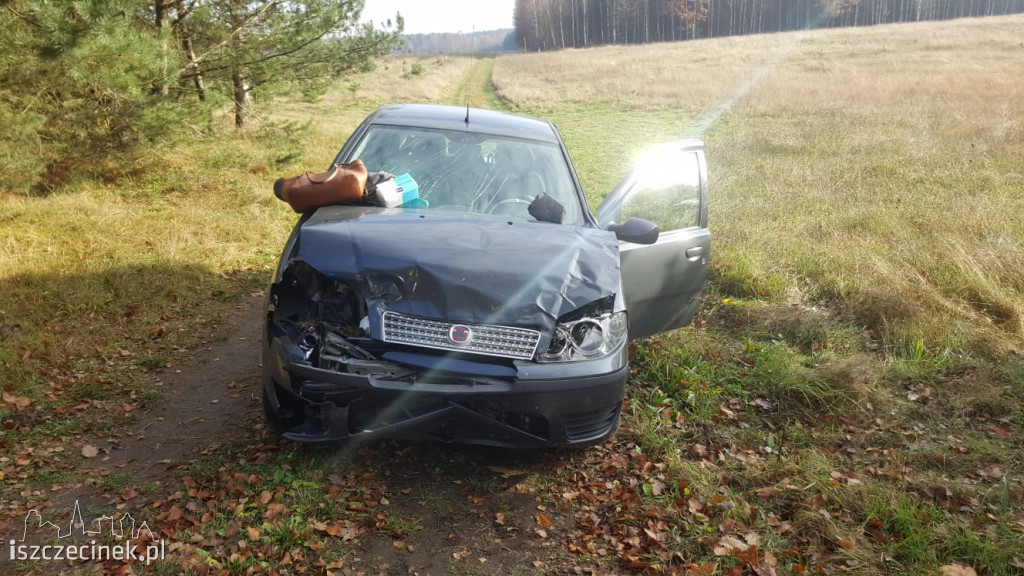 Zderzenie samochodu osobowego z jeleniem na DK-11