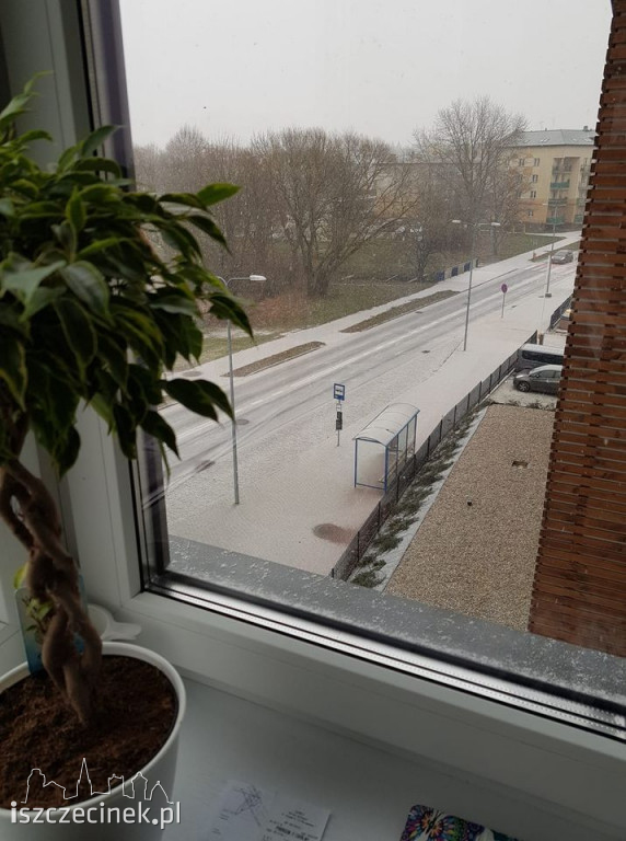 Sypnęło śniegiem w Szczecinku. Jak długo popada? ZDJĘCIA CZYTELNIKÓW