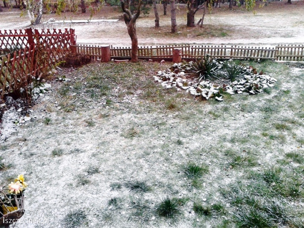 Sypnęło śniegiem w Szczecinku. Jak długo popada? ZDJĘCIA CZYTELNIKÓW