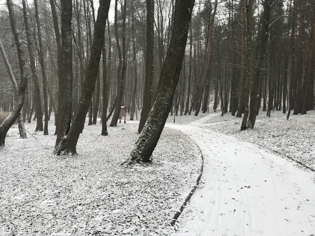 Sypnęło śniegiem w Szczecinku. Jak długo popada? ZDJĘCIA CZYTELNIKÓW