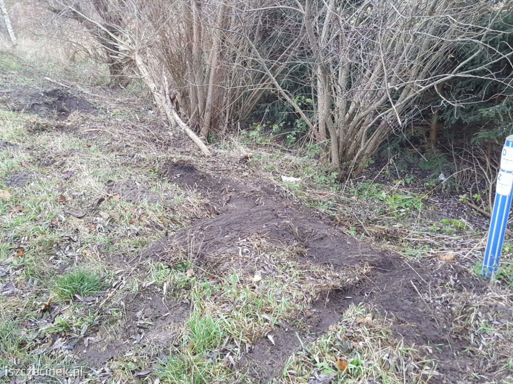 Czarny piątek na drogach. Wypadek za wypadkiem ZDJĘCIA