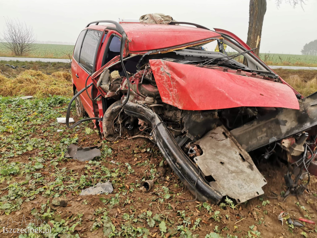 Volkswagen z dużą siłą uderzył w drzewo. Jedna osoba w szpitalu