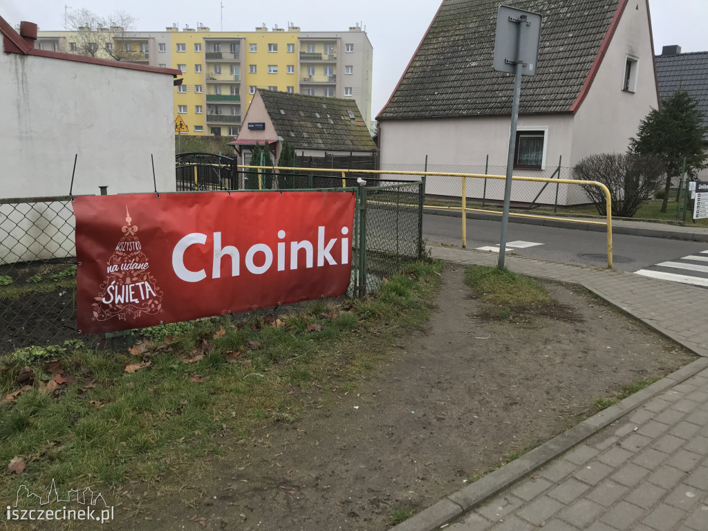 Trwa sezon choinkowy! Gdzie w Szczecinku kupisz świąteczne drzewko?