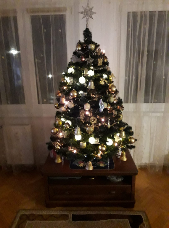 Piękne choinki naszych Czytelników. Zobacz zdjęcia!