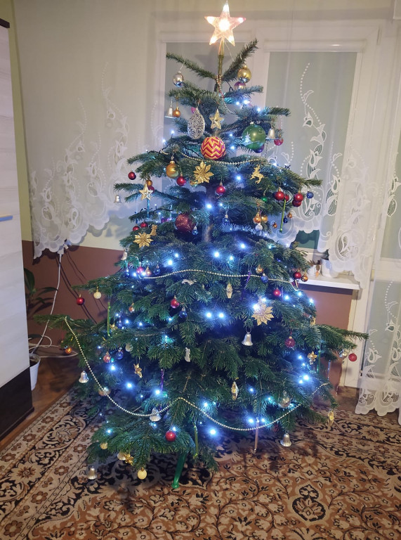 Piękne choinki naszych Czytelników. Zobacz zdjęcia!
