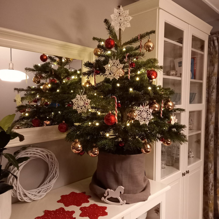 Piękne choinki naszych Czytelników. Zobacz zdjęcia!