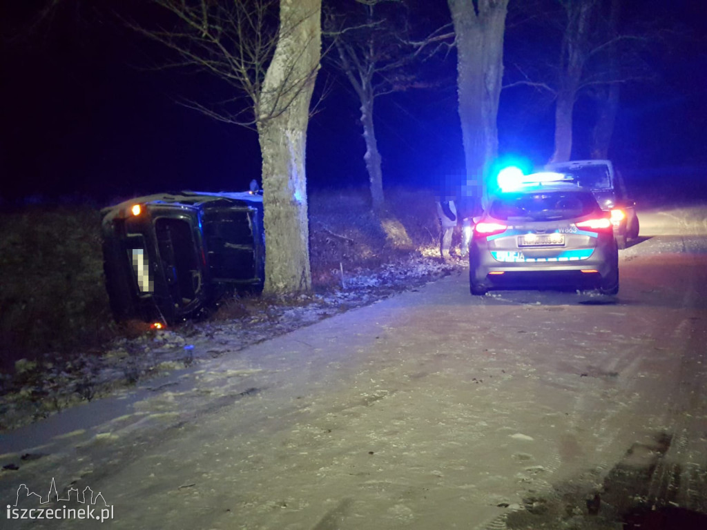 Ford uderzył w drzewo