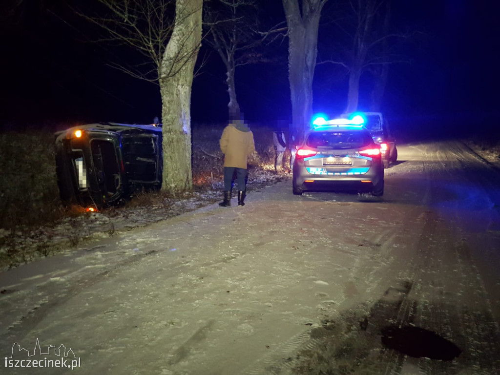 Ford uderzył w drzewo