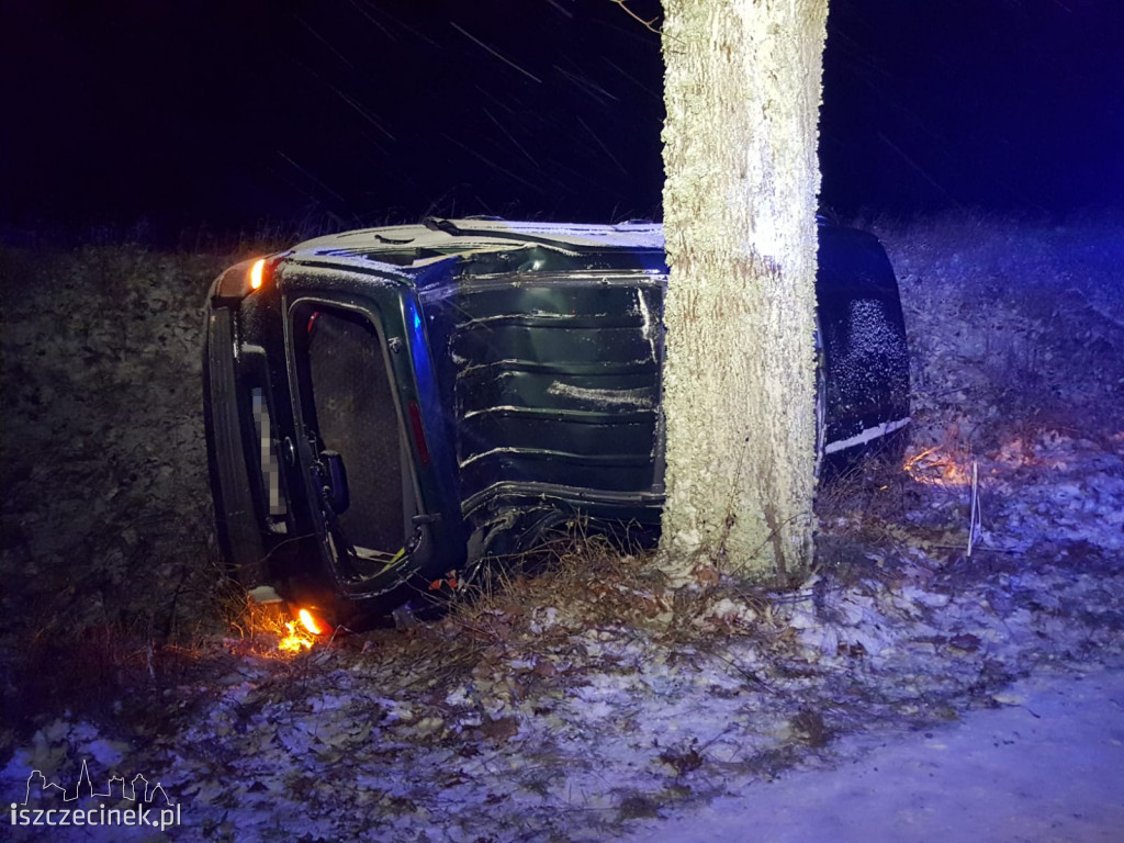 Ford uderzył w drzewo