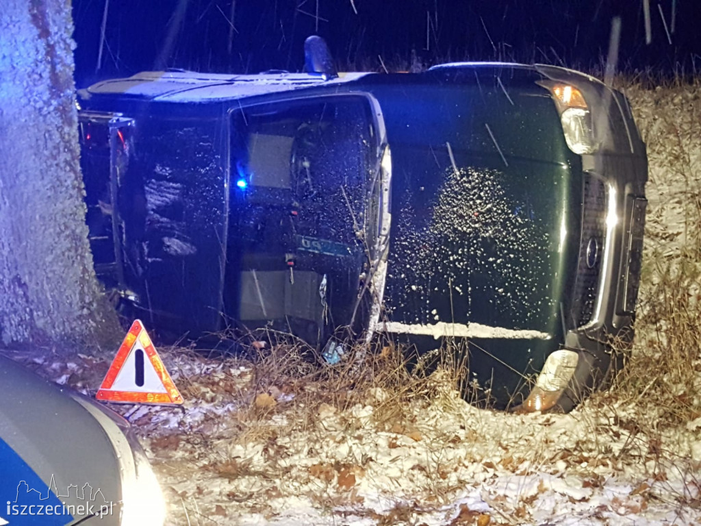 Ford uderzył w drzewo