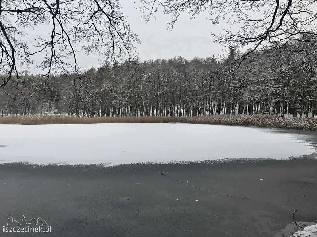 Sypnęło śniegiem w Szczecinku. Jaka pogoda na najbliższe dni? [ZDJĘCIA]