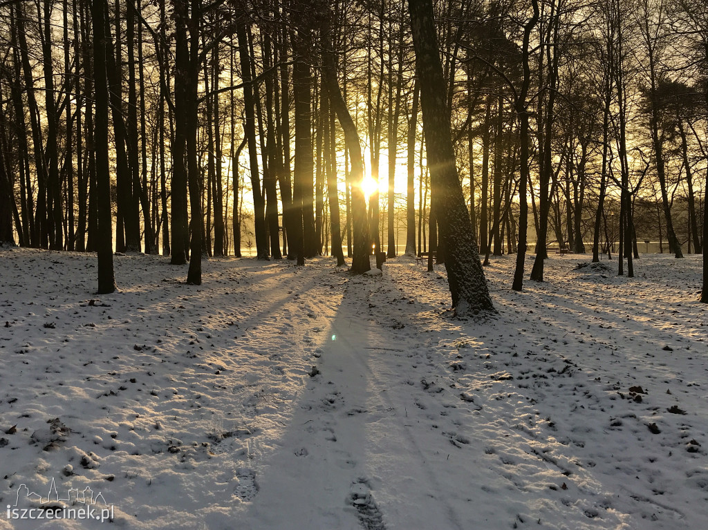 Sypnęło śniegiem w Szczecinku. Jaka pogoda na najbliższe dni? [ZDJĘCIA]