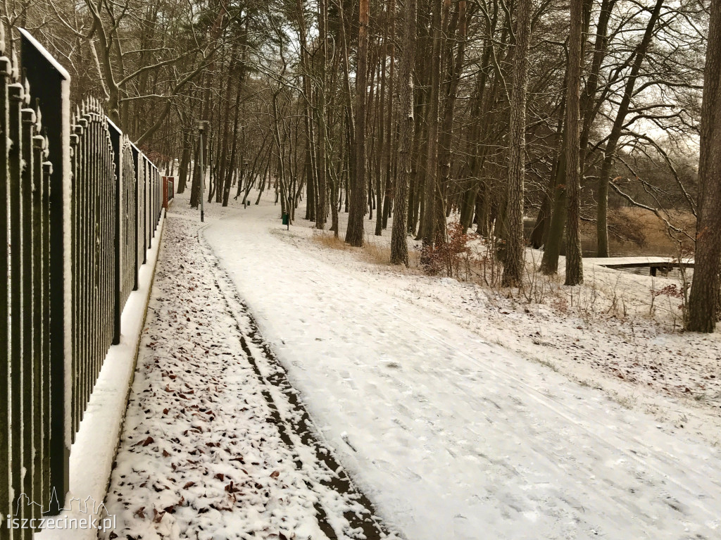 Sypnęło śniegiem w Szczecinku. Jaka pogoda na najbliższe dni? [ZDJĘCIA]