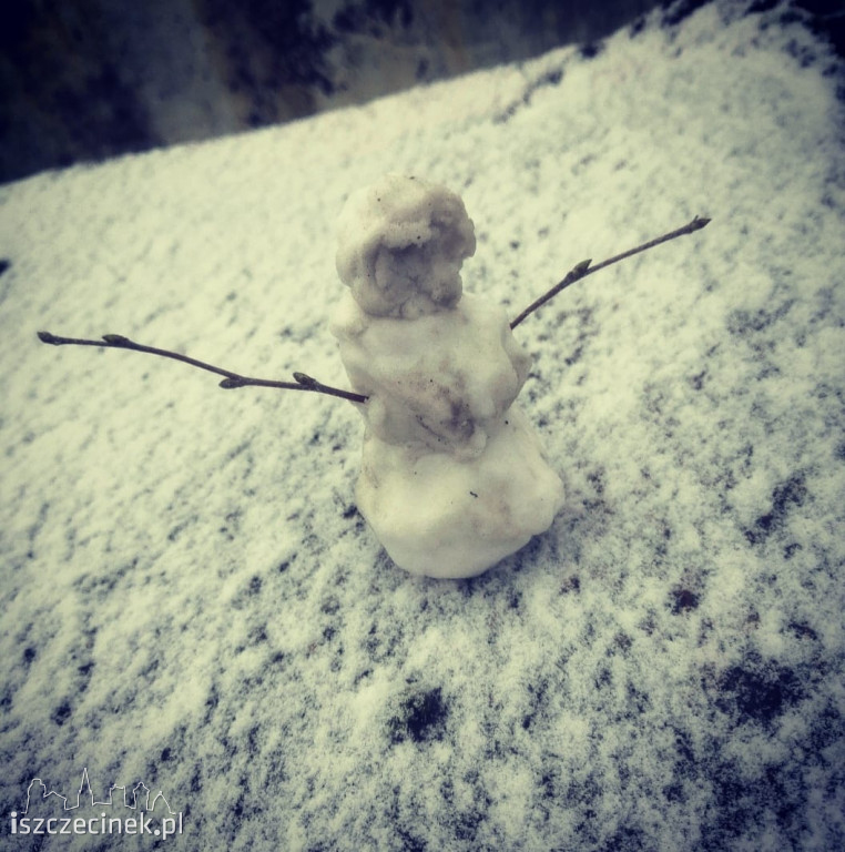 Zobacz bałwany naszych czytelników! [ZDJĘCIA]