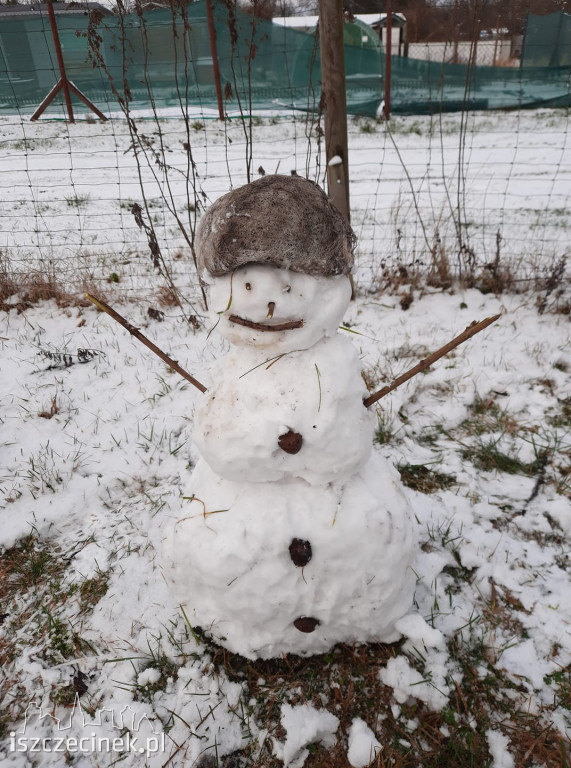 Zobacz bałwany naszych czytelników! [ZDJĘCIA]