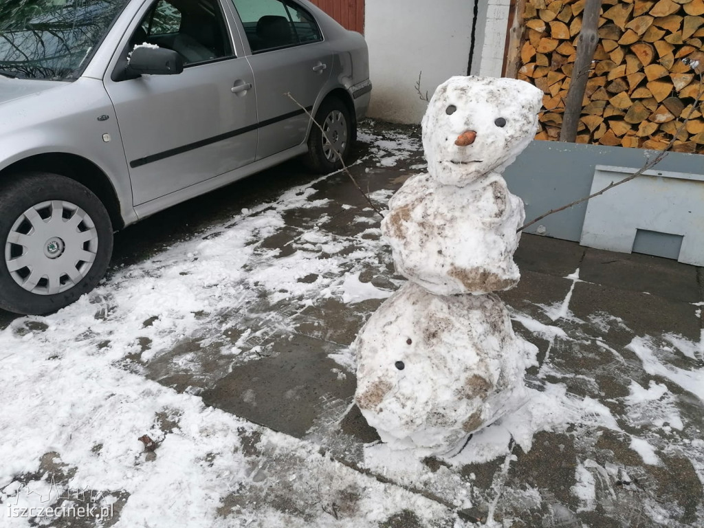 Zobacz bałwany naszych czytelników! [ZDJĘCIA]