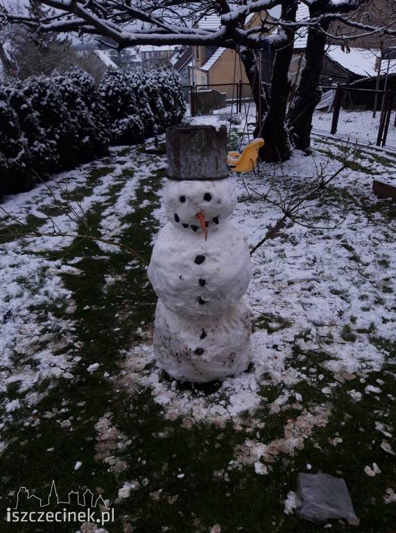 Zobacz bałwany naszych czytelników! [ZDJĘCIA]