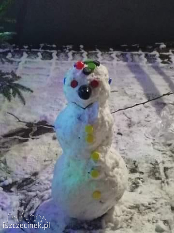 Zobacz bałwany naszych czytelników! [ZDJĘCIA]