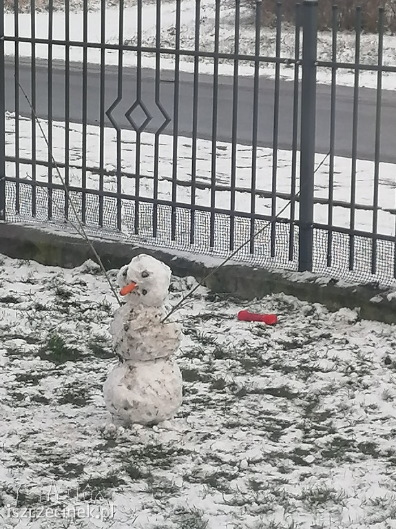 Zobacz bałwany naszych czytelników! [ZDJĘCIA]