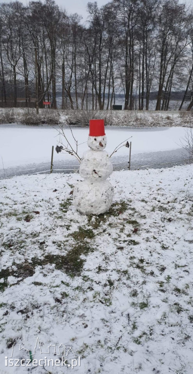 Zobacz bałwany naszych czytelników! [ZDJĘCIA]