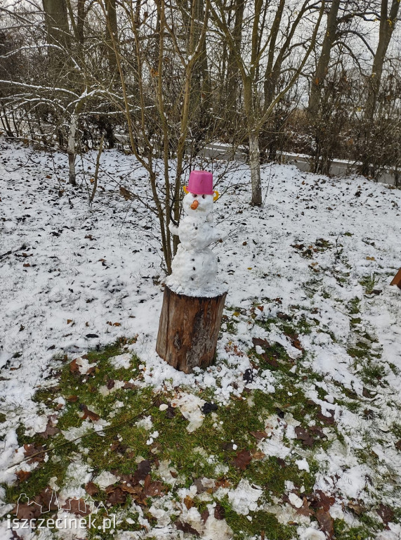 Zobacz bałwany naszych czytelników! [ZDJĘCIA]