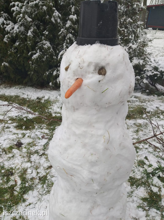 Zobacz bałwany naszych czytelników! [ZDJĘCIA]