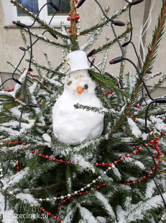 Zobacz bałwany naszych czytelników! [ZDJĘCIA]