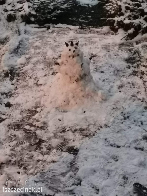 Zobacz bałwany naszych czytelników! [ZDJĘCIA]