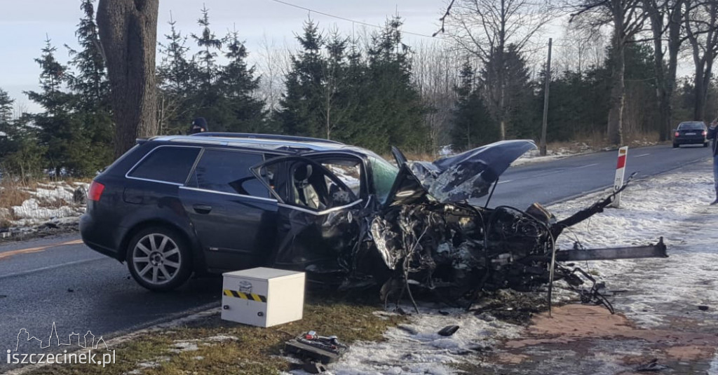 Audi roztrzaskało się na drzewie. To było dużo szczęścia w nieszczęściu...
