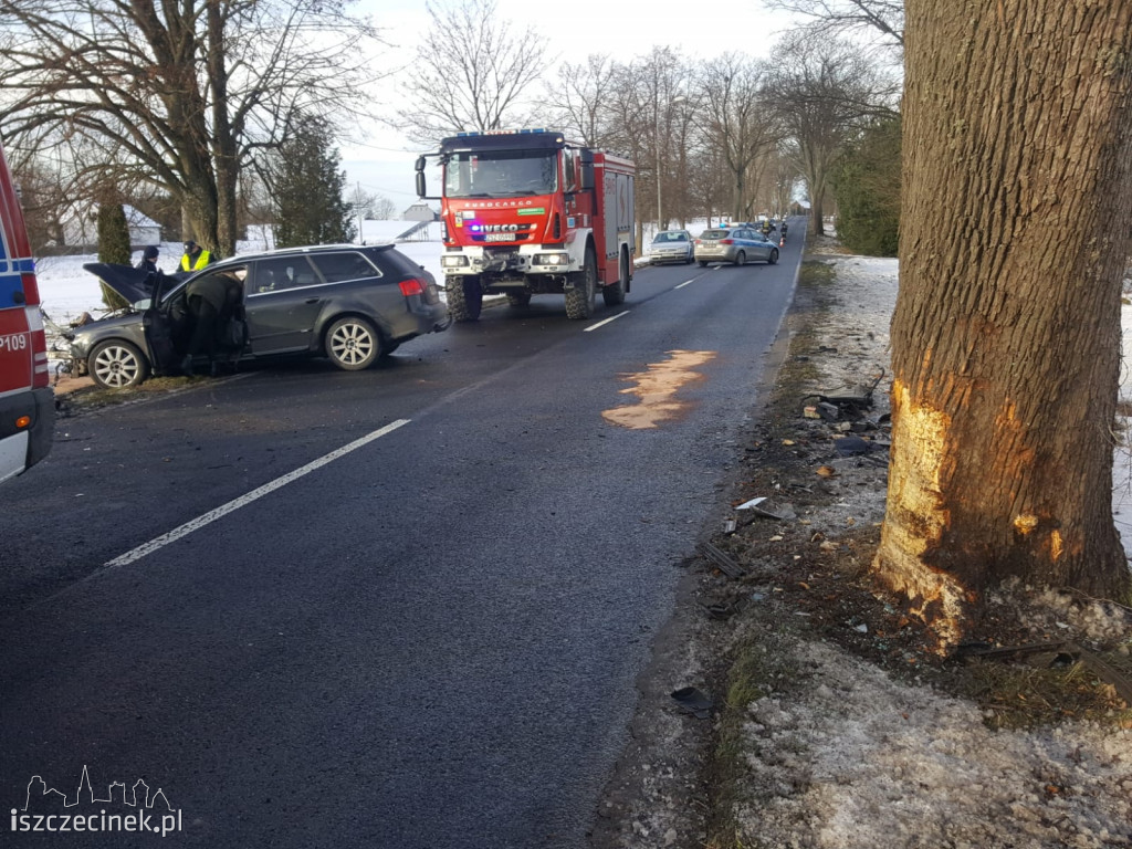Audi roztrzaskało się na drzewie. To było dużo szczęścia w nieszczęściu...