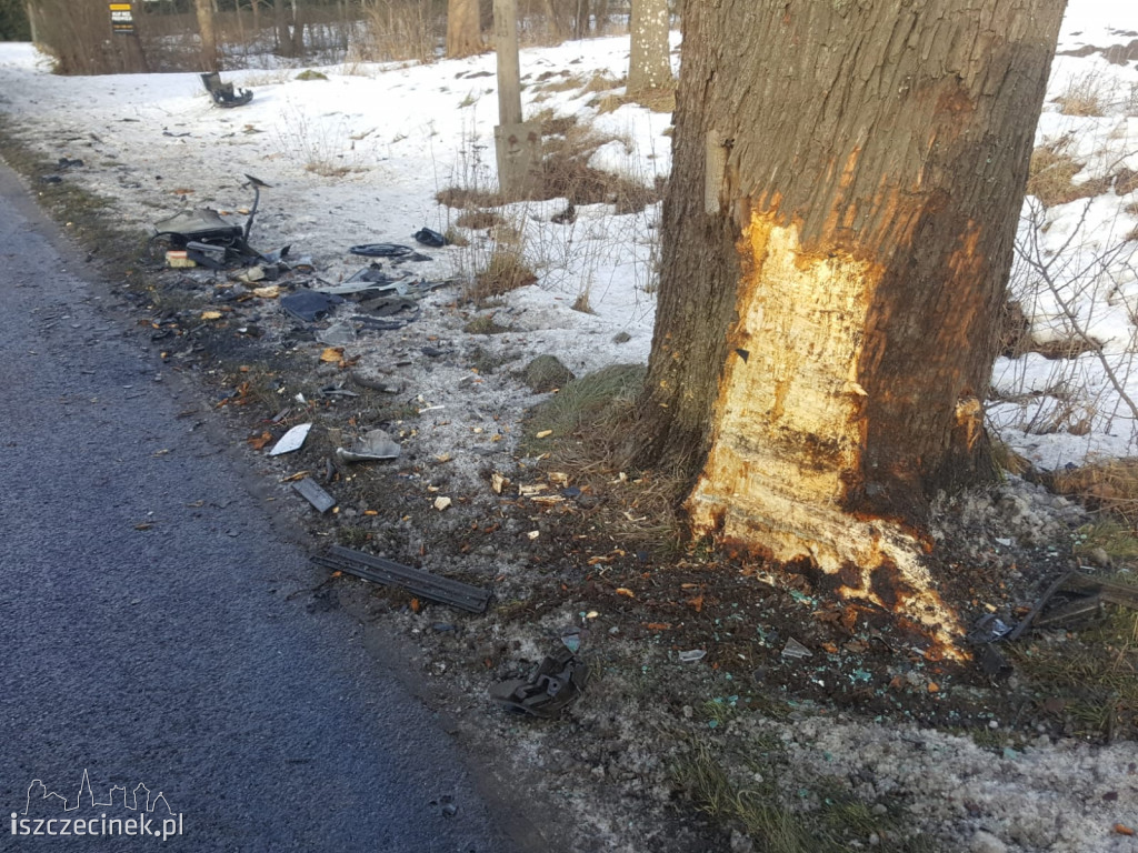 Audi roztrzaskało się na drzewie. To było dużo szczęścia w nieszczęściu...