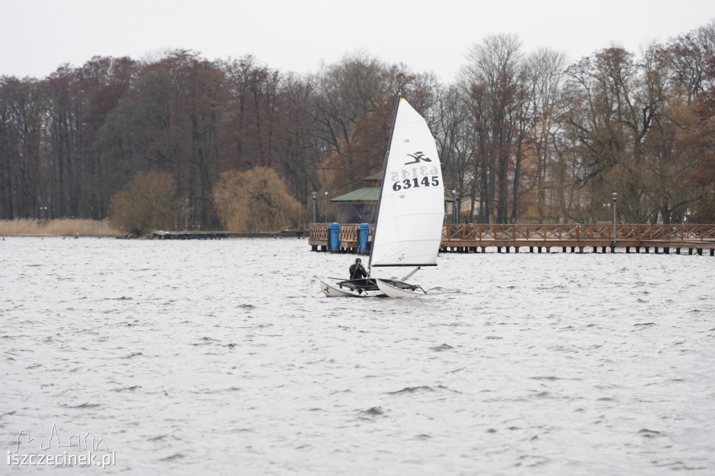 Katamarany Hobie Cat 14 na jeziorze Trzesecko [ZDJĘCIA, WIDEO]