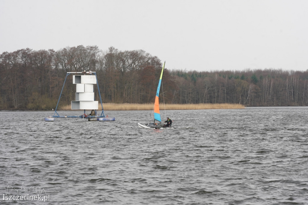 Katamarany Hobie Cat 14 na jeziorze Trzesecko [ZDJĘCIA, WIDEO]