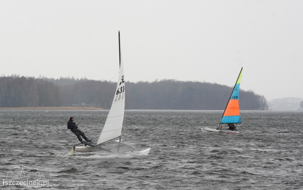 Katamarany Hobie Cat 14 na jeziorze Trzesecko [ZDJĘCIA, WIDEO]