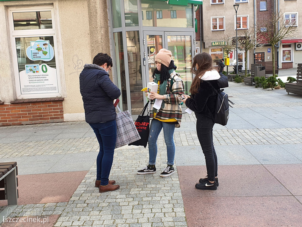 Żółto na ulicach Szczecinka. Zakwitły 