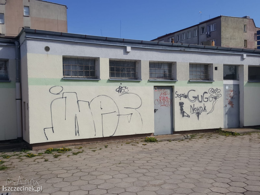 Nocny rajd wandali ulicami Szczecinka. Zniszczone samochody, przystanek i elewacje