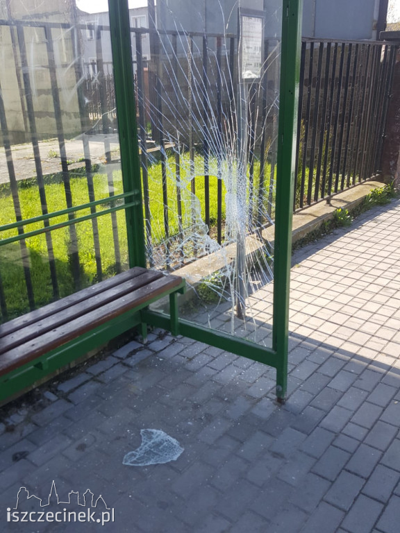 Nocny rajd wandali ulicami Szczecinka. Zniszczone samochody, przystanek i elewacje