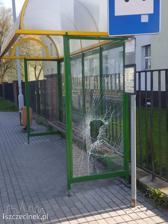 Nocny rajd wandali ulicami Szczecinka. Zniszczone samochody, przystanek i elewacje