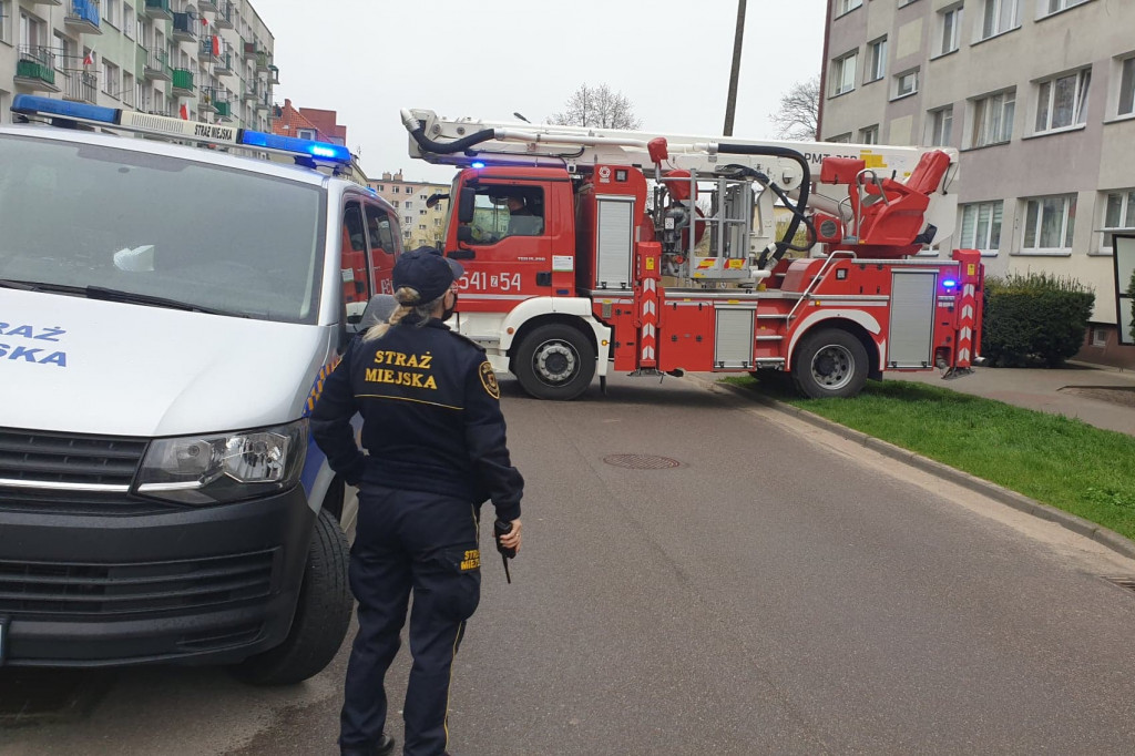 Kolejny kot zaklinowany w oknie. Uratowany w ostatniej chwili