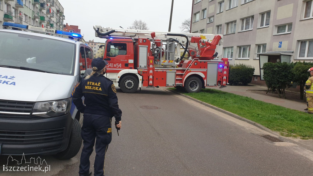 Kolejny kot zaklinowany w oknie. Uratowany w ostatniej chwili