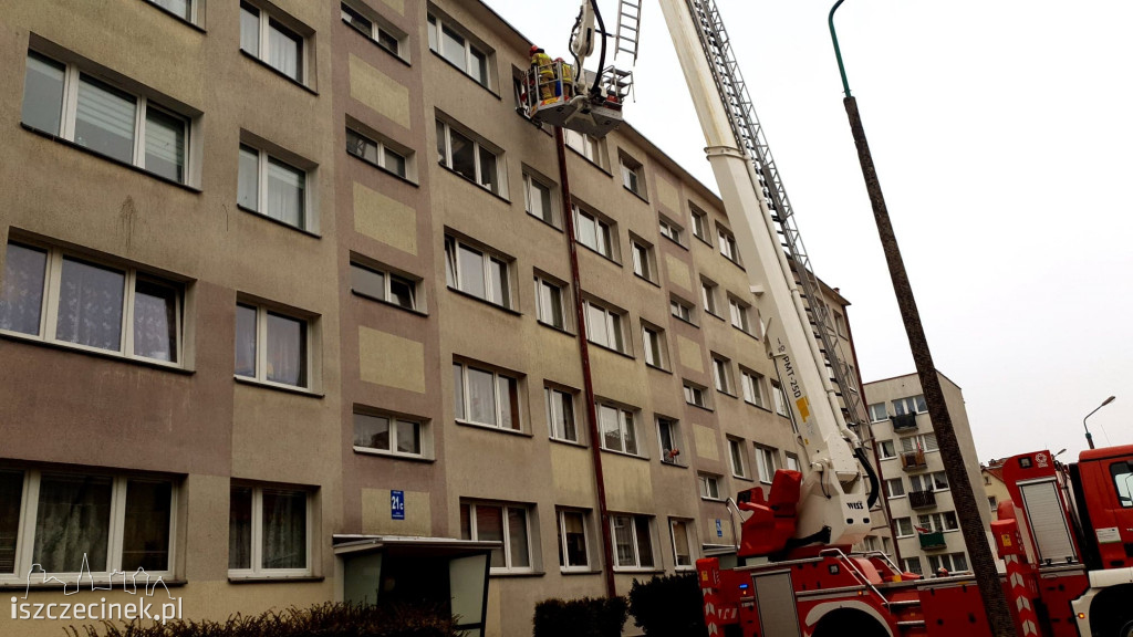 Kolejny kot zaklinowany w oknie. Uratowany w ostatniej chwili