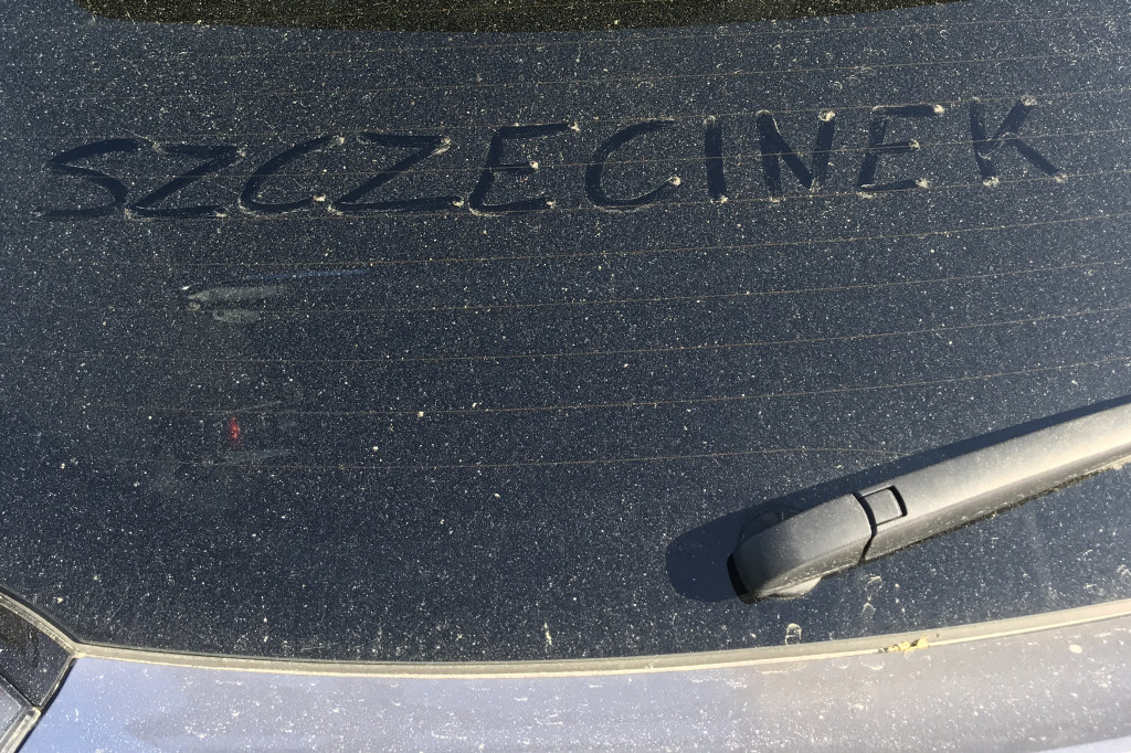 Żółto-zielony pył pokrył miasto.